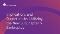 Implications and Opportunities Utilizing the New SubChapter V Bankruptcy icon