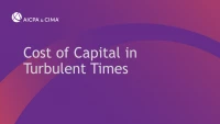 Cost of Capital in Turbulent Times icon