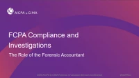 FCPA Compliance and Investigations: The Role of the Forensic Accountant icon