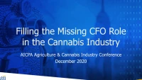 Filling the Missing CFO Role in the Cannabis Industry icon