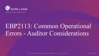 Common Operational Errors - Auditor Considerations icon