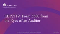 Form 5500 from the Eyes of an Auditor icon