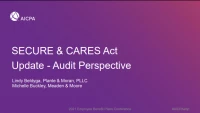 Secure & Cares Act Update-Audit Perspective icon