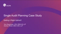Single Audit Planning Case Study icon