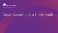 Smart Sampling in a Single Audit icon