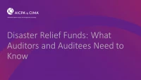 Disaster Relief Funds: What Auditors and Auditees Need to Know icon