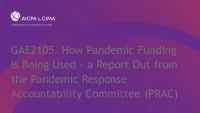 How Pandemic Funding is Being Used - a Report Out from the Pandemic Response Accountability Committee (PRAC) icon