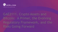 Crypto Assets and Bitcoin:  A Primer, the Evolving Regulatory Framework, and the Risks Going Forward icon