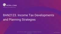 Income Tax Developments and Planning Strategies icon