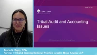 Tribal Audit and Accounting Issues icon