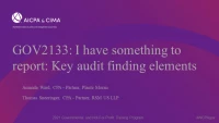 I have something to report: Key audit finding elements icon
