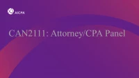 Attorney/CPA Panel icon