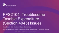 Troublesome Taxable Expenditure (Section 4945) Issues icon