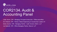 Audit & Accounting Panel icon