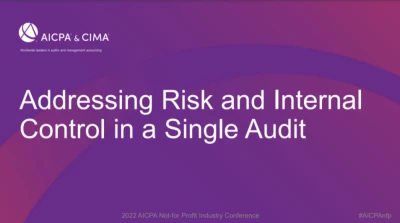 Addressing Risk and Internal Control in a Single Audit icon
