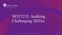 Auditing Challenging SEFAs icon