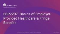 Basics of Employer-Provided Healthcare & Fringe Benefits icon