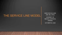 The Service Line Model - A Novel Design for Medical-Surgical Nursing Service Delivery icon
