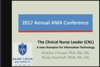 The Clinical Nurse Leader: A New Champion of Information Technology  icon
