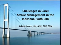 Challenges in Care: Stroke Management in the Individual with CKD icon