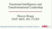 Structures and Practices to Promote and Support Nurse Managers: Emotional Intelligence and Transformational Leadership icon