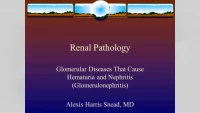Renal Pathology in Glomerular Disease icon