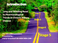 Chronic Kidney Disease: The Long and Winding Road to Pharmacological Understanding in CKD (Specialty Practice Session) icon