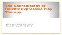 Neurobiology of Holistic Expressive Play Therapy icon