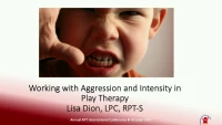 Working with Aggression and Intensity in the Playroom icon