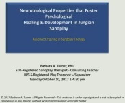The Neurobiological Properties that Foster Psychological Healing and Development in Jungian Sandplay icon