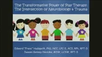 The Transformative Power of Play Therapy: Understanding the Neurobiology of Play Therapy for Traumatized Children and Adolescents: The Conversation Continues icon