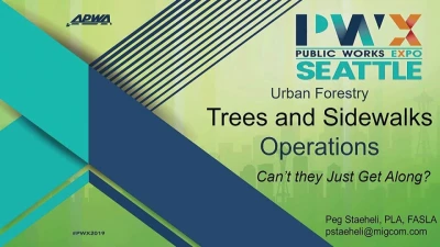 LIGHTNING ROUND: Urban Forestry Strategies icon