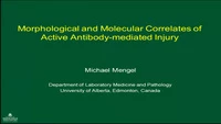 Morphological and Molecular Correlates of Active Antibody-mediated Injury icon