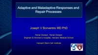 Adaptive and Maladaptive Innate Immune Responses and Repair Processes icon
