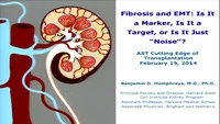 Fibrosis and EMT: Is It a Marker, Is It a Target, or Is It Just "Noise"? icon