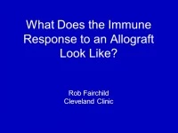 Overview: What Does the Immune Response to an Allograft Look Like? Identifying the Players and Targets to Improve Graft Outcome icon