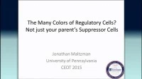 The Many Colors of Regulatory Cells: Not Just Your Father's Suppressor Cells icon