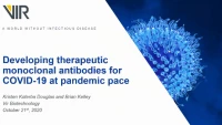Developing Therapeutic Monoclonal Antibodies at Pandemic Pace icon