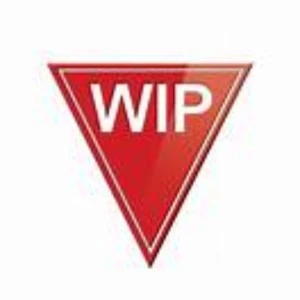 Internal Analysis of the WIP