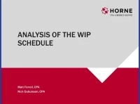 Analysis of the WIP Schedule icon