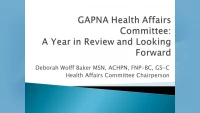 GAPNA Health Affairs Committee: A Year in Review and Looking Forward icon