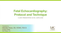 Fetal Echocardiography: Protocol and Technique icon