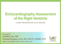 Echocardiography Assessment of the Right Ventricle icon