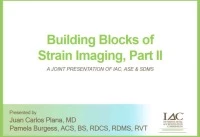 Building Blocks of Strain Imaging, Part II icon