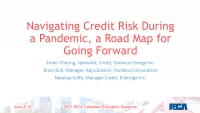 Navigating Credit Risk During a Pandemic, a Road Map for Going Forward icon