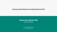 Communication Between Developing Neural Cells  icon