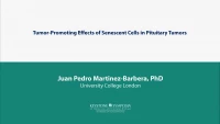 Tumor-Promoting Effects of Senescent Cells in Pituitary Tumors icon