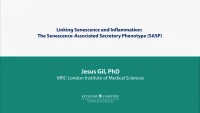 Linking Senescence and Inflammation: The Senescence-Associated Secretory Phenotype (SASP) icon