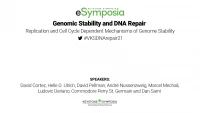 Replication and Cell Cycle Dependent Mechanisms of Genome Stability icon
