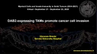 DAB2-Expressing TAMs Promote Cancer Cell Invasion icon